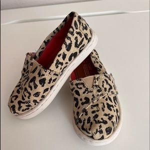 NEW Tom’s leopard